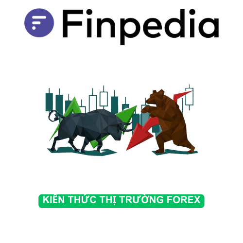 kiến-thức-thị-trường-forex-finpedia